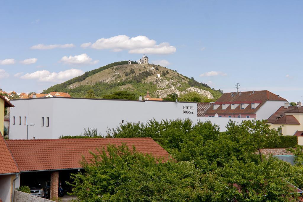 Pension Cizek Mikulov Zewnętrze zdjęcie